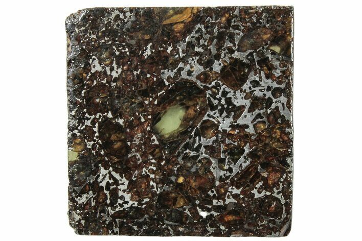 Polished Admire Pallasite Meteorite ( g) Slice - Kansas #307354
